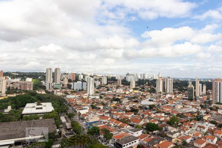 Vista de apartamento para alugar com 1 quarto, 54m² em Chácara Santo Antônio, São Paulo