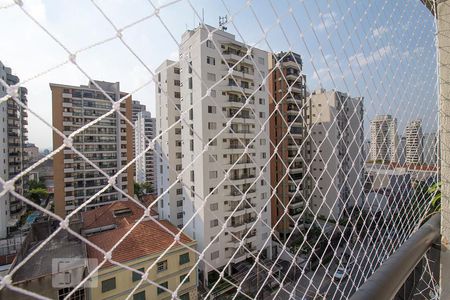 Vista da Varanda da Sala de apartamento para alugar com 3 quartos, 70m² em Perdizes, São Paulo