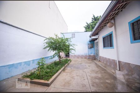 quintal de casa para alugar com 3 quartos, 141m² em Parque Jambeiro, Campinas
