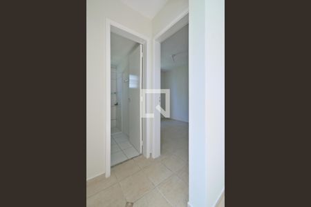Corredor de apartamento para alugar com 2 quartos, 49m² em Jardim Boa Esperança, Campinas