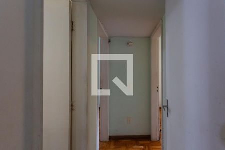 Corredor de apartamento para alugar com 2 quartos, 71m² em Serra, Belo Horizonte