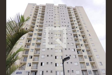 Apartamento para alugar com 2 quartos, 60m² em Vila Mimosa, Campinas