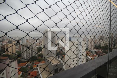Vista da Varanda da Sala de apartamento para alugar com 3 quartos, 145m² em Vila Mariana, São Paulo