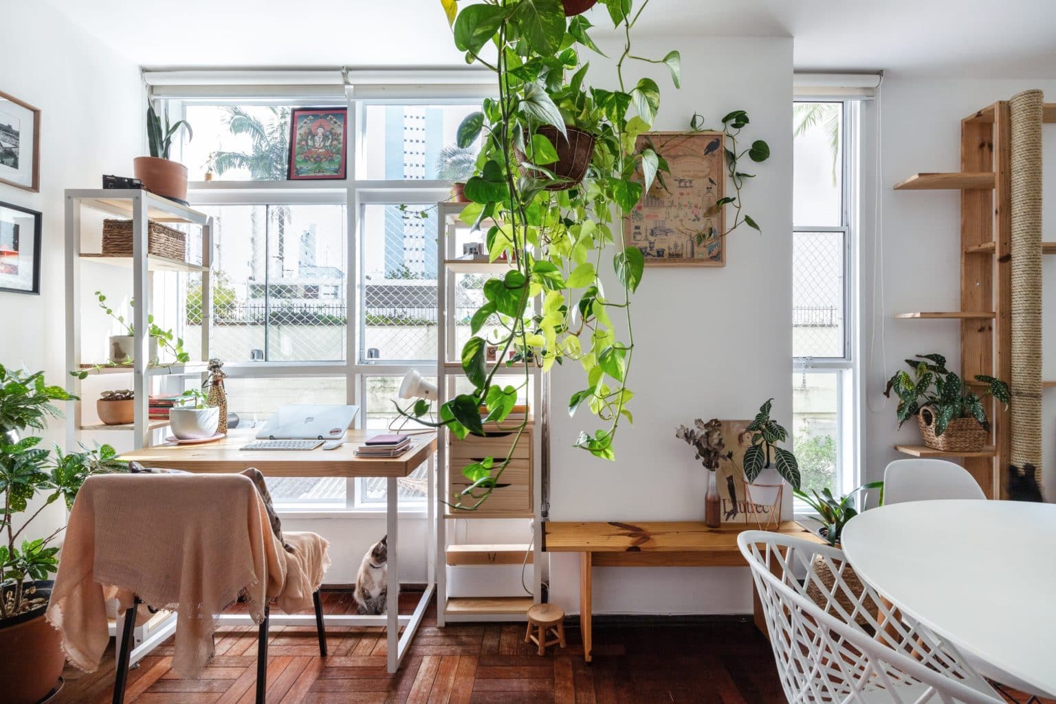 Home office como montar o espaço de trabalho