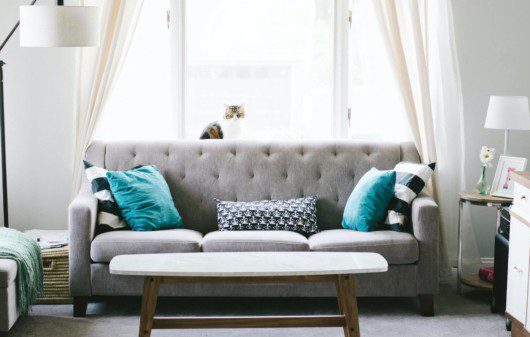 Foto que ilustra matéria sobre almofadas para sofá mostra uma sala de estar com uma janela ao fundo, com sol entrando pelas cortinas, um sofá cinza à frente dela, com almofadas de diferentes tamanhos sobre ele. No encosto do sofá, um gato sentado olha para a câmera