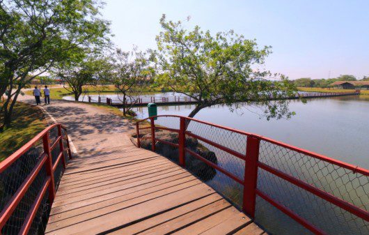 Foto que ilustra matéria sobre parque em Mogi das Cruzes mostra uma pequena ponte em um dos lagos do Parque Centenário da Imigração Japonesa.