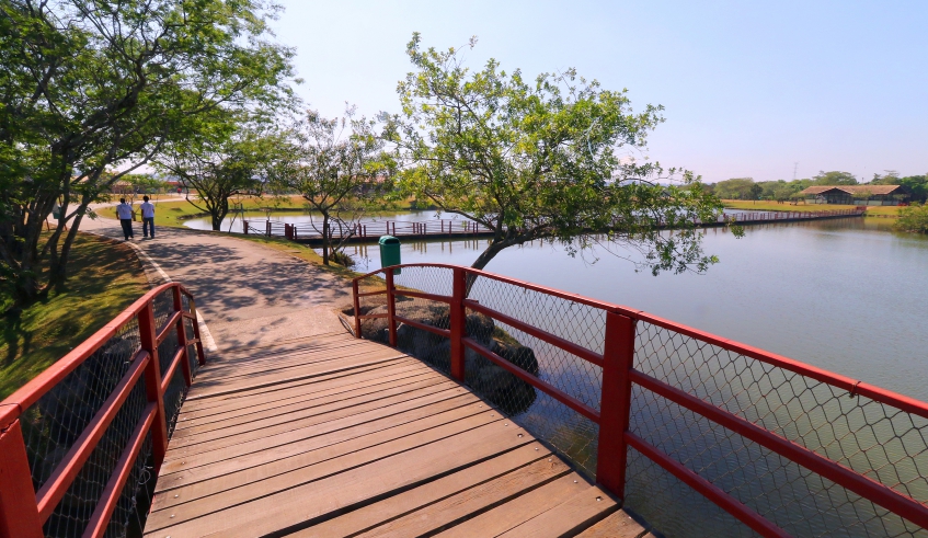 Foto que ilustra matéria sobre parque em Mogi das Cruzes mostra uma pequena ponte em um dos lagos do Parque Centenário da Imigração Japonesa.