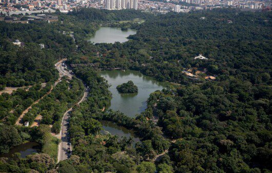 Foto que ilustra matéria sobre o Zoológico de São Paulo mostra a vista aérea do Zoológico de São Paulo.