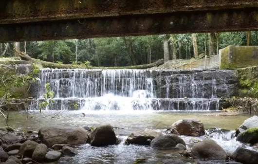 Foto que ilustra matéria sobre o que fazer em Nova Iguaçu mostra uma pequena cachoeira do Parque Natural Municipal da cidade (Foto: Alziro Xavier | Prefeitura de Nova Iguaçu)