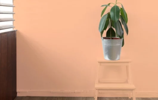 Foto que ilustra matéria sobre a cor do ano 2024 mostra uma mesinha com um vaso de plantas em cima diante de uma parede. A mesinha e a parede têm a cor Peach Fuzz, escolhida como "cor do ano" pela Pantone (Foto: Shutterstock)
