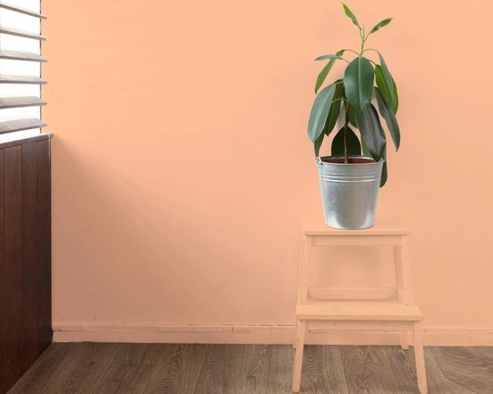 Cor do ano 2024 da Pantone: como usar o Peach Fuzz em casa