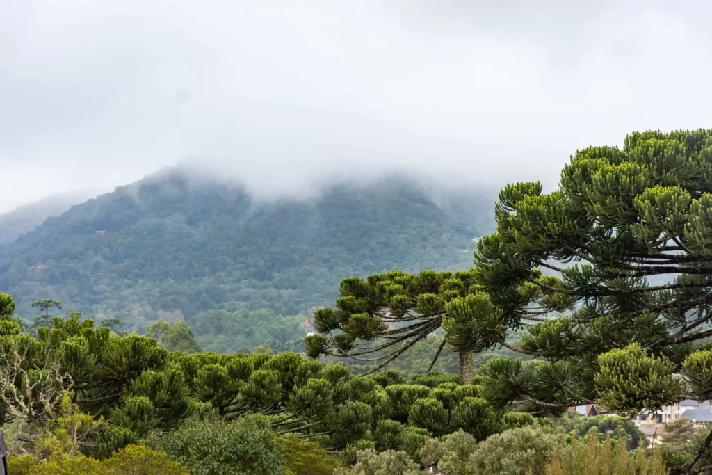 Imagem de paisagem em montanhas com céu azul e vista nublada branca para ilustrar matéria sobre qual é a menor temperatura já registrada em Minas Gerais