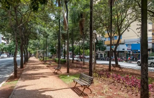 Foto que ilustra matéria sobre a cidade mais arborizada do Brasil mostra um detalhe da Avenida Goiás, em Goiânia (Foto: Leandro Moura/MTur)