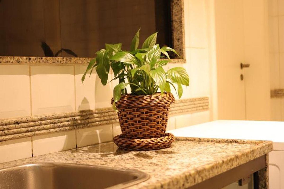 Apartamento, 3 quartos, 173 m² - Foto 61