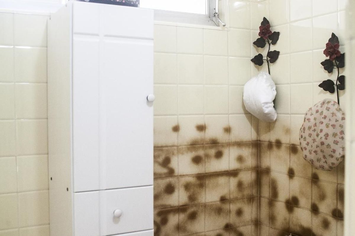 Apartamento, 3 quartos, 150 m² - Foto 25