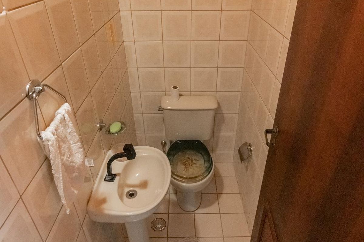Casa, 4 quartos, 250 m² - Foto 62