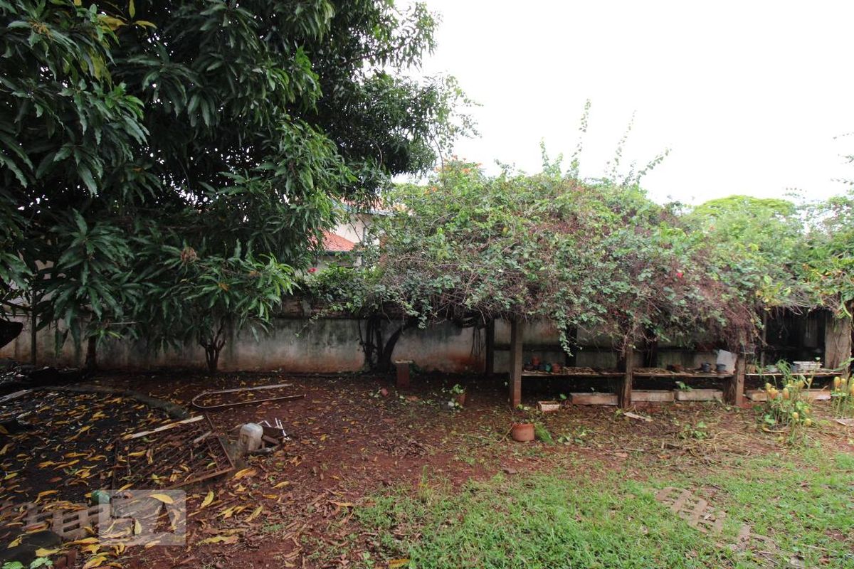 Casa à Venda - Barão Geraldo - Centro, 5 Quartos,  287 m2 em , Campinas - sp | SoloBR