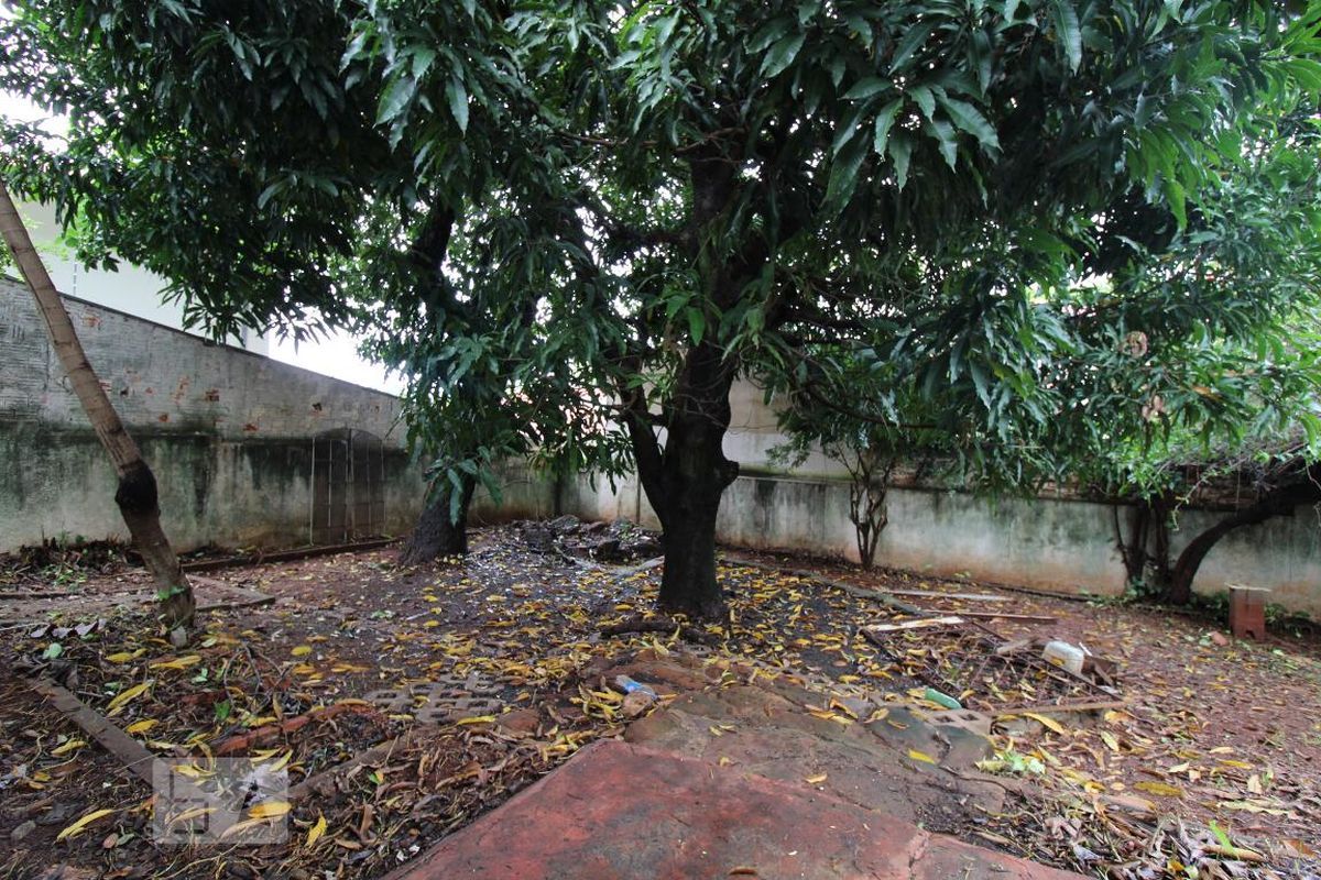 Casa à Venda - Barão Geraldo - Centro, 5 Quartos,  287 m2 em , Campinas - sp | SoloBR