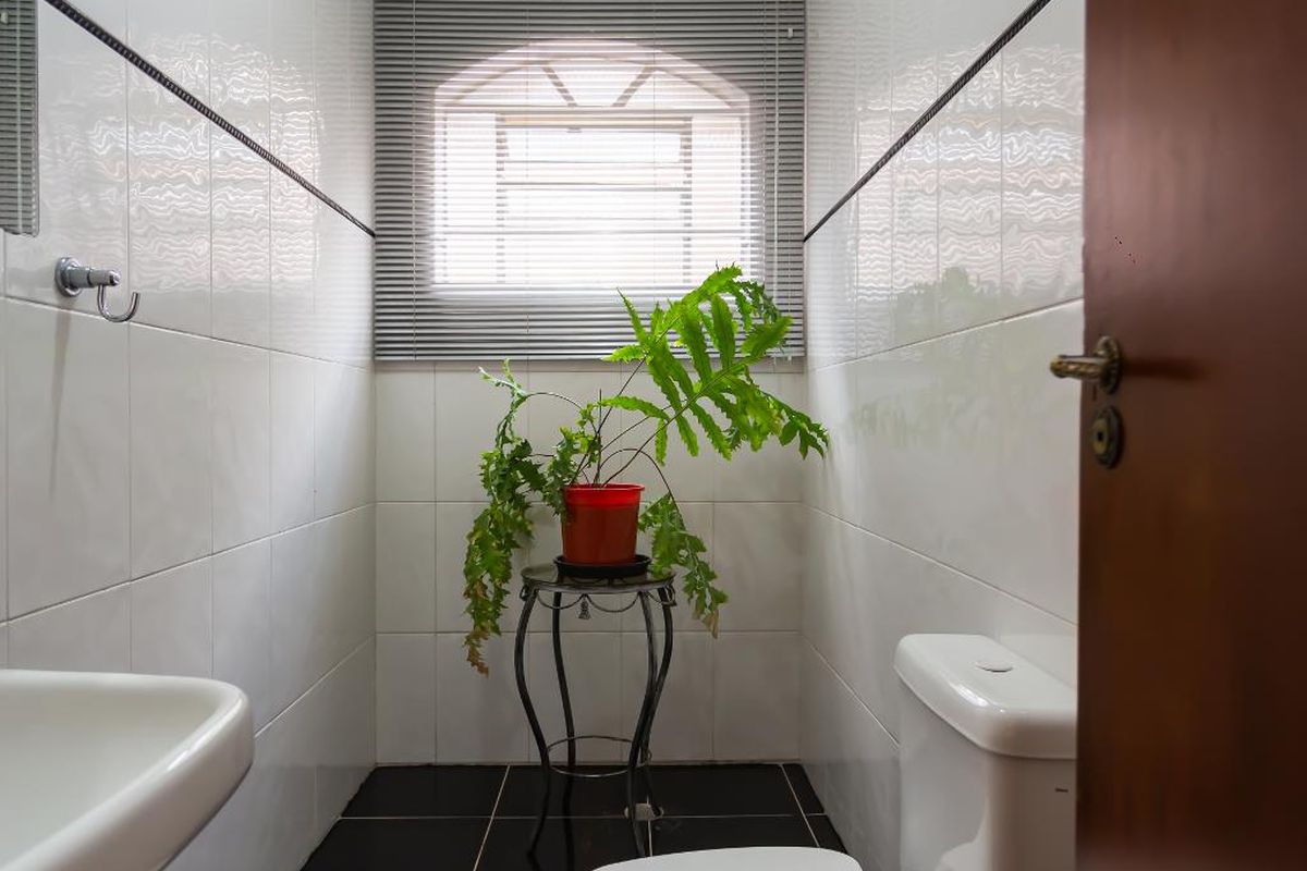 Casa, 6 quartos, 500 m² - Foto 48