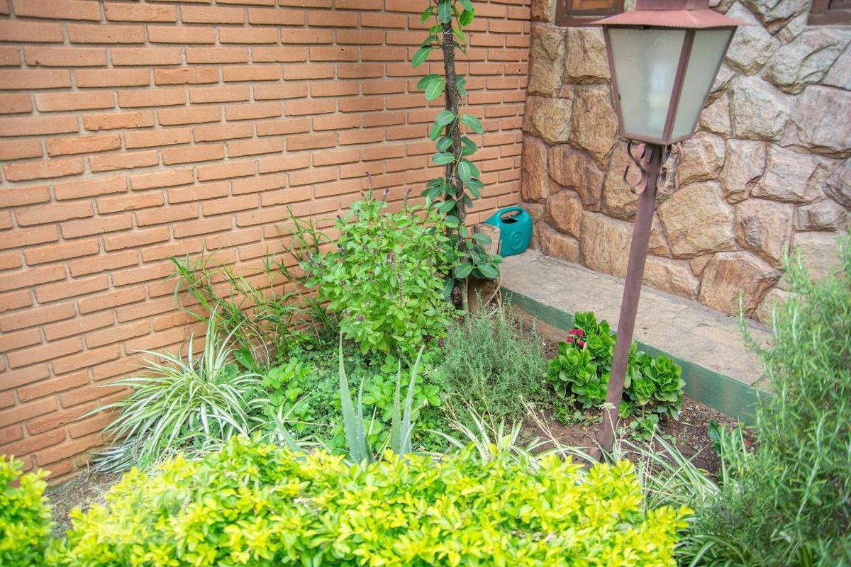 Casa à Venda - Parque Prado, 5 Quartos,  562 m2 em , Campinas - sp | SoloBR