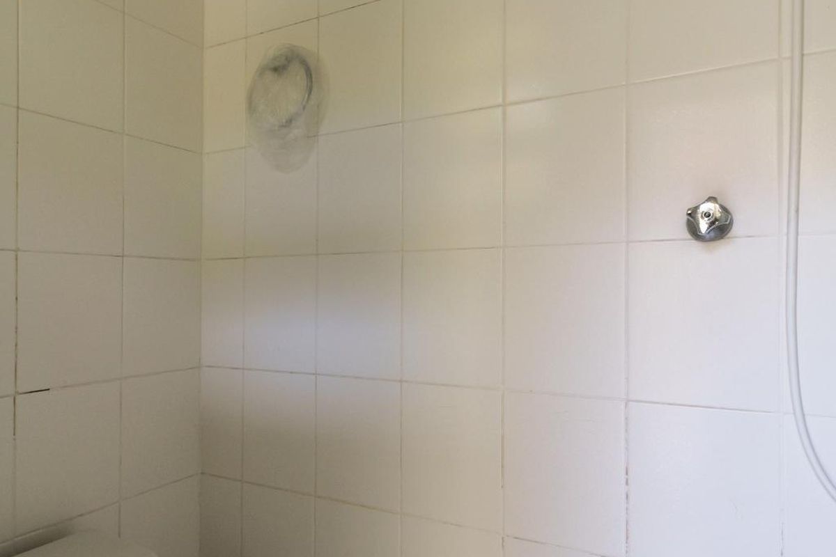 Casa, 5 quartos, 266 m² - Foto 96