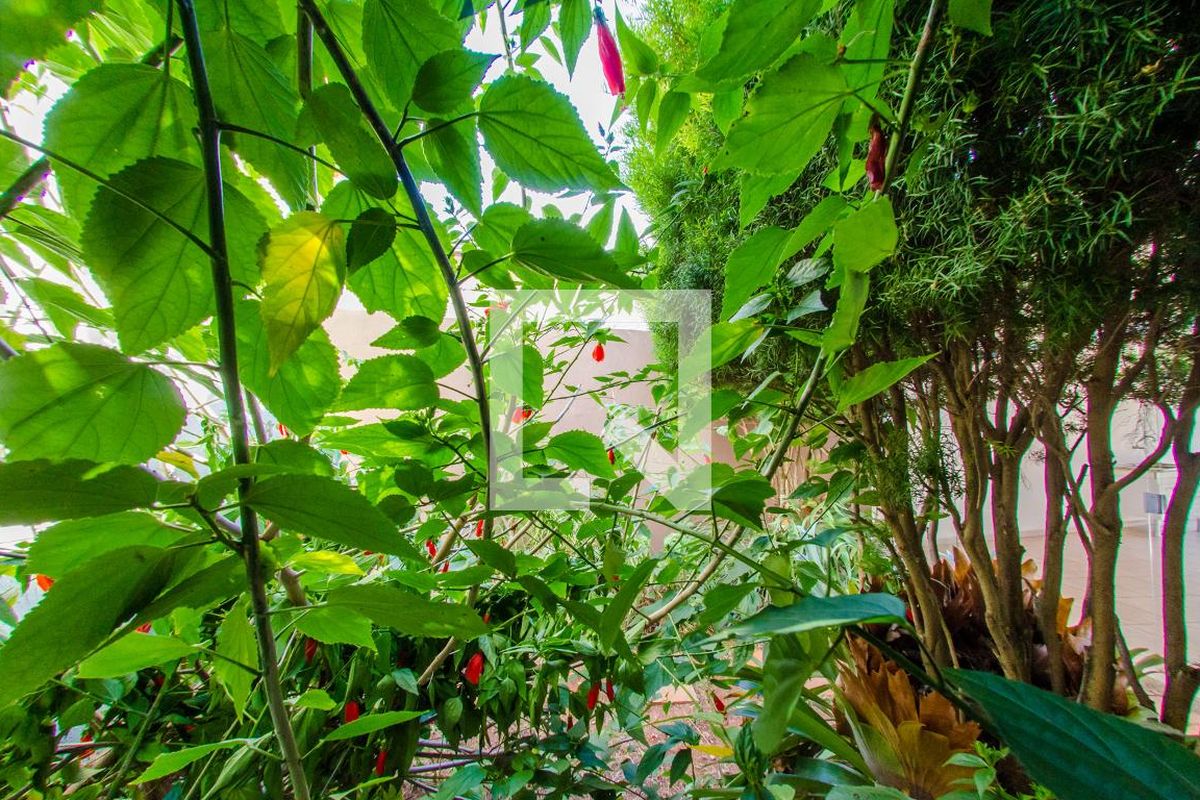 Casa à Venda - Jardim Flamboyant, 3 Quartos,  137 m2 em , Campinas - sp | SoloBR