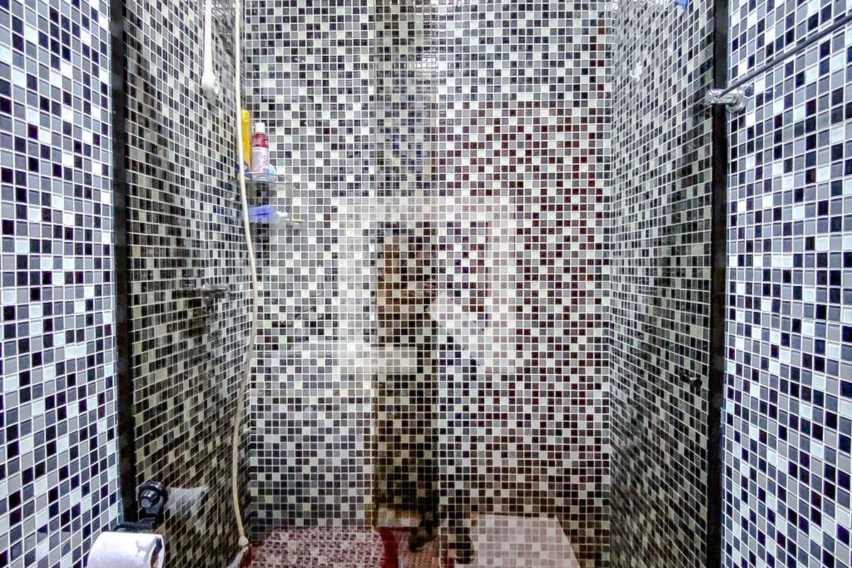 Casa, 4 quartos, 267 m² - Foto 116