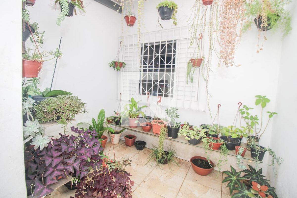 Casa à Venda - Jardim Flamboyant, 3 Quartos,  176 m2 em , Campinas - sp | SoloBR