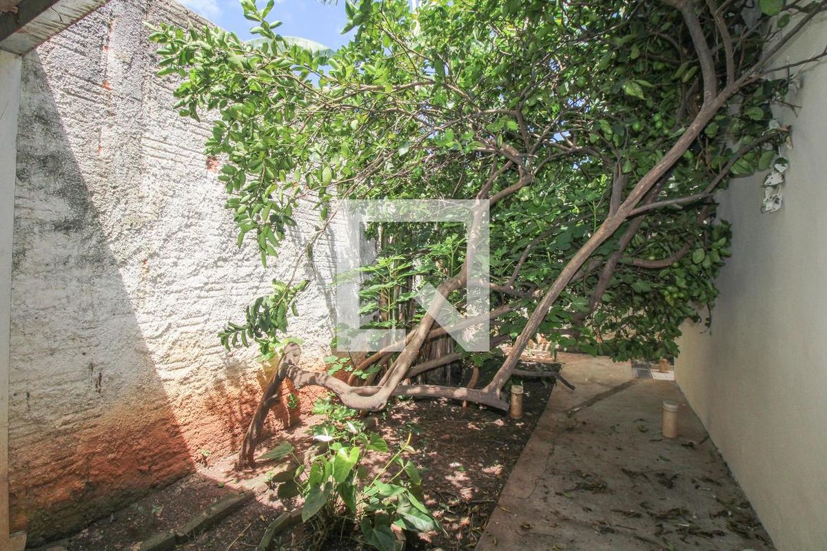 Casa à Venda - Jardim Planalto, 2 Quartos,  330 m2 em , Campinas - sp | SoloBR