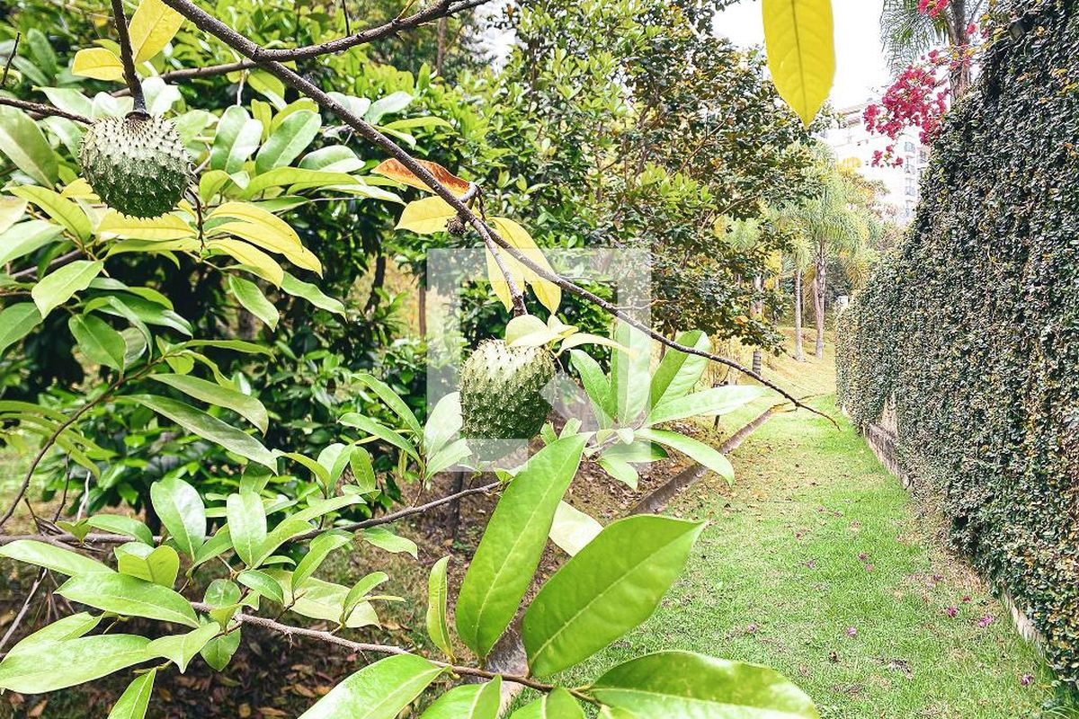 Apartamento, 4 quartos, 117 m² - Foto 116