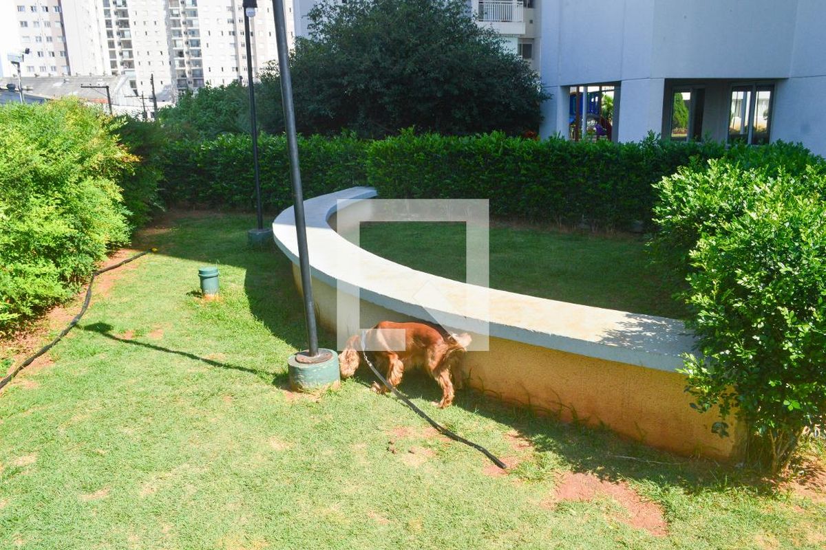 Apartamento, 3 quartos, 69 m² - Foto 157
