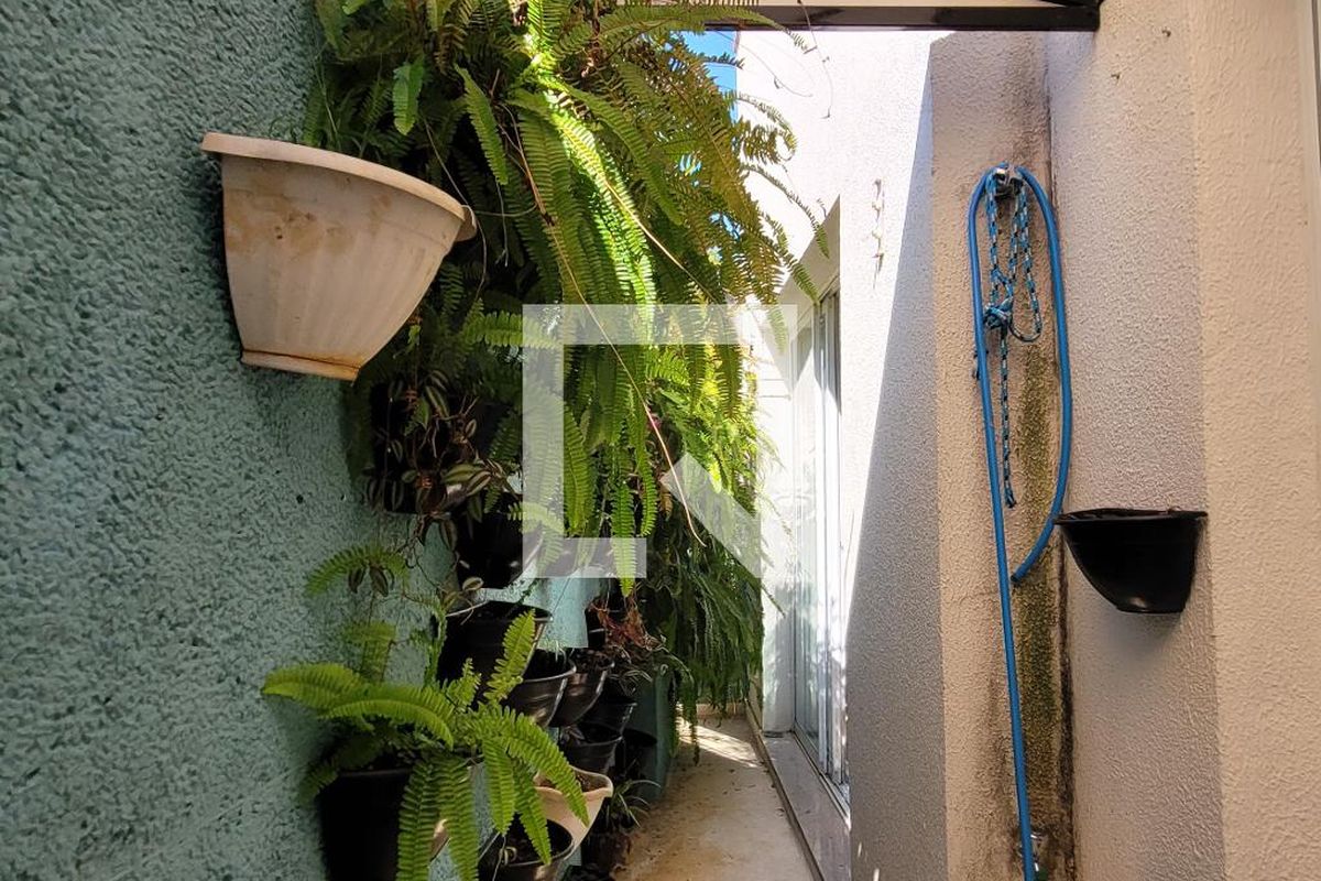 Casa à Venda - Cambuí, 2 Quartos,  250 m2 em , Campinas - sp | SoloBR