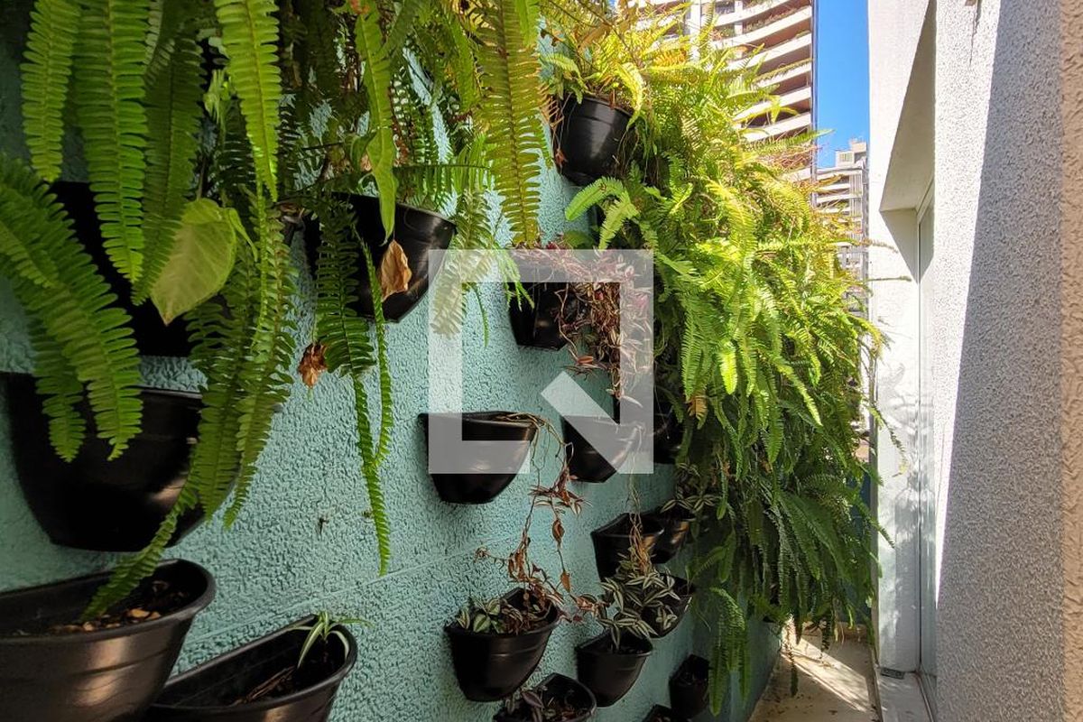 Casa à Venda - Cambuí, 2 Quartos,  250 m2 em , Campinas - sp | SoloBR