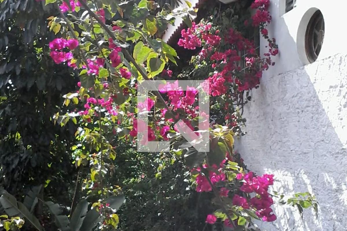 Casa, 3 quartos, 250 m² - Foto 19