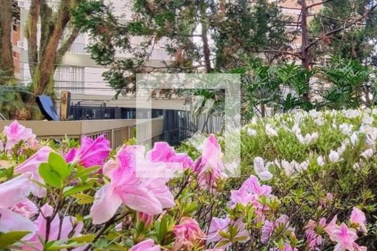 Apartamento à Venda - Cambuí, 4 Quartos,  122 m2 em , Campinas - sp | SoloBR