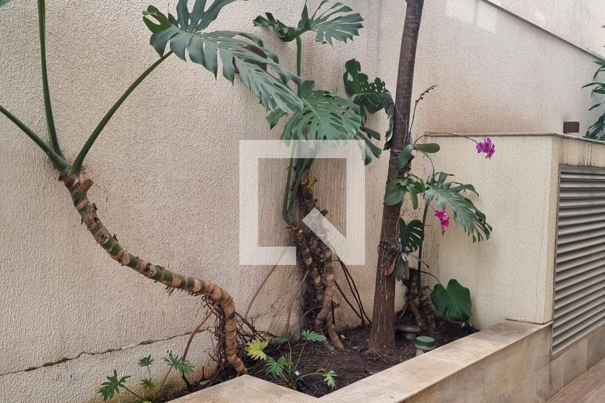 Apartamento à Venda - Cambuí, 2 Quartos,  72 m2 em , Campinas - sp | SoloBR