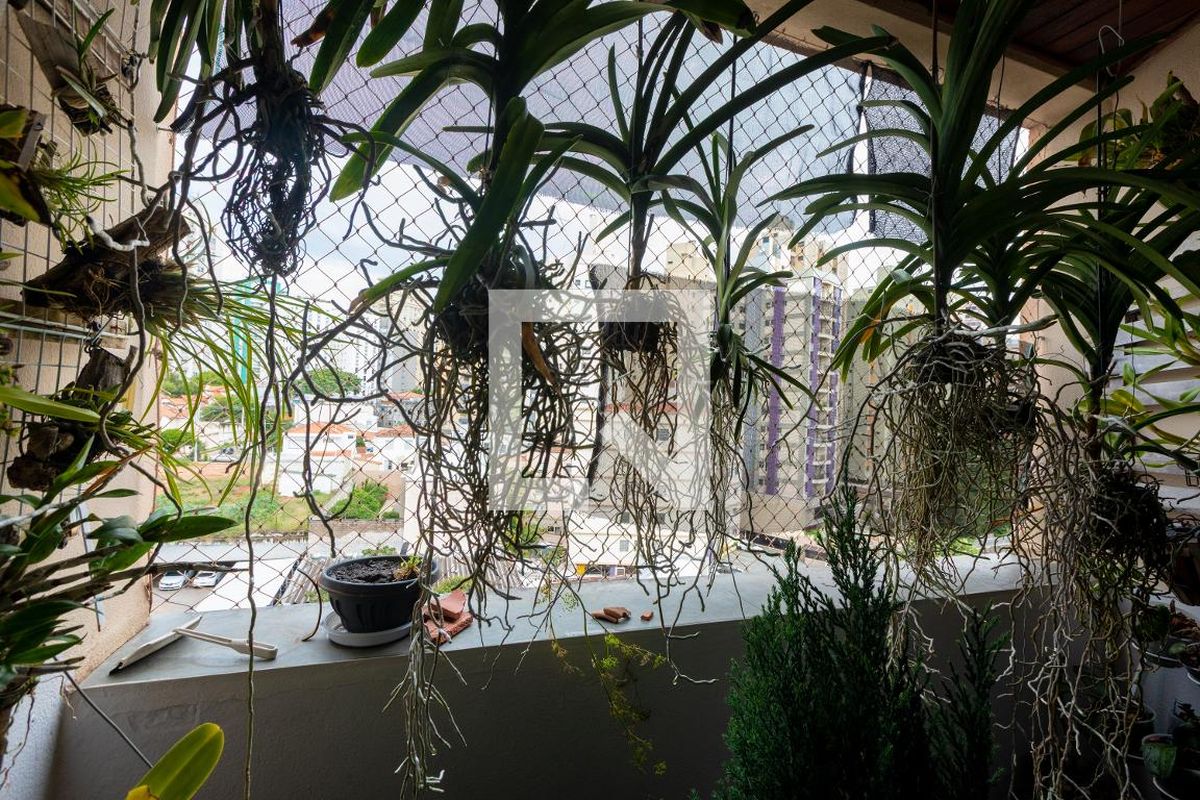 Apartamento à Venda - Cambuí, 1 Quarto,  65 m2 em , Campinas - sp | SoloBR
