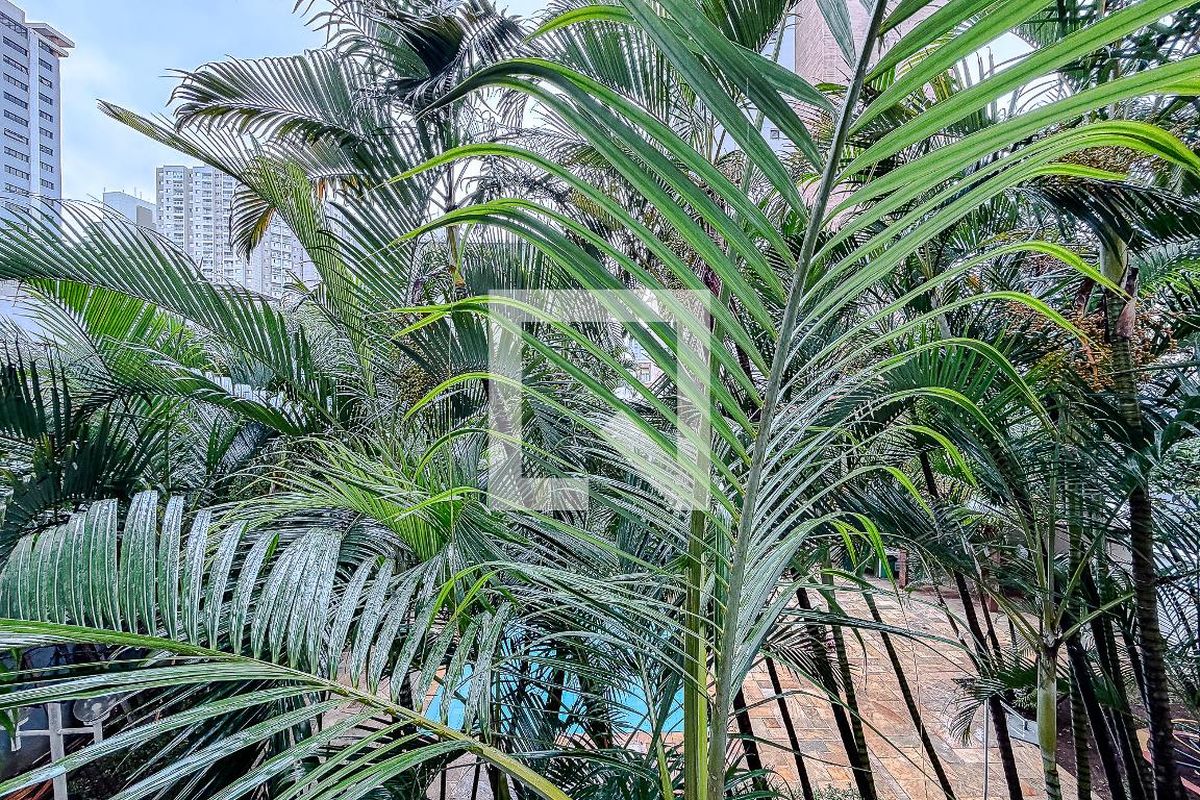 Apartamento, 2 quartos, 60 m² - Foto 32