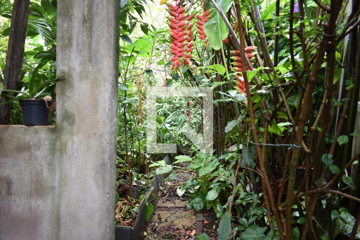 Casa, 4 quartos, 250 m² - Foto 41