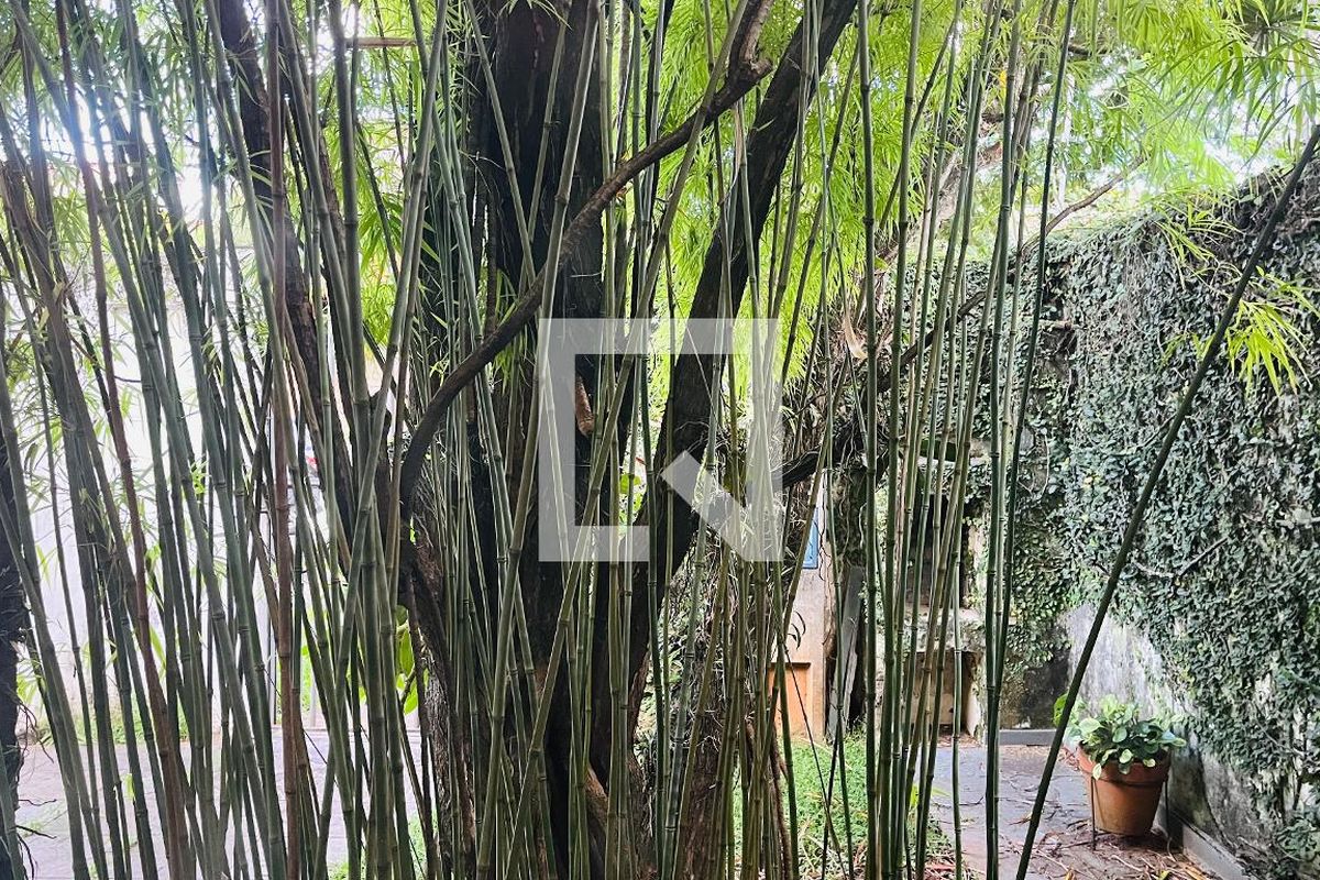 Casa à Venda - Jardim Planalto, 4 Quartos,  263 m2 em , Campinas - sp | SoloBR