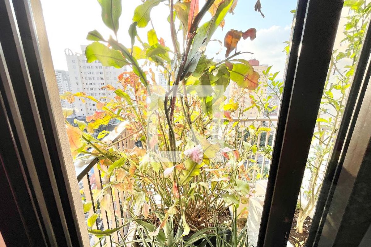Apartamento, 3 quartos, 120 m² - Foto 32