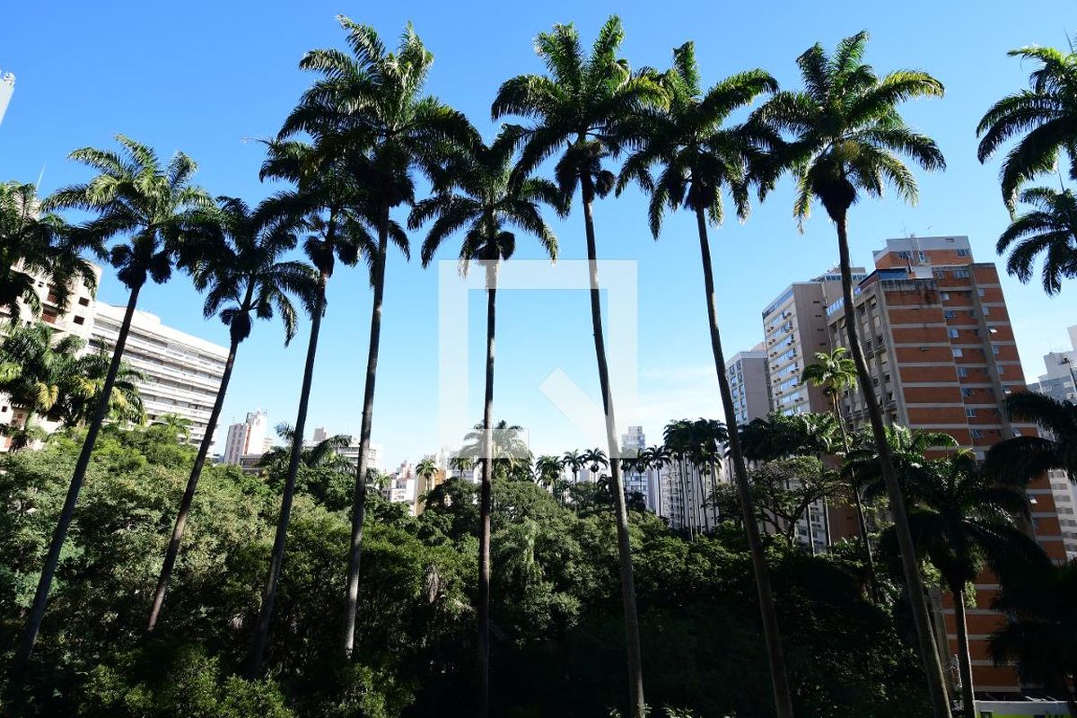 Apartamento à Venda - Cambuí, 2 Quartos,  132 m2 em , Campinas - sp | SoloBR