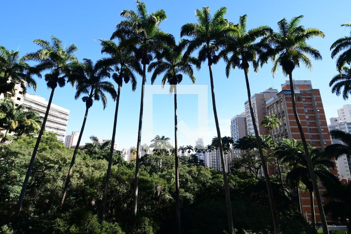 Apartamento à Venda - Cambuí, 2 Quartos,  132 m2 em , Campinas - sp | SoloBR