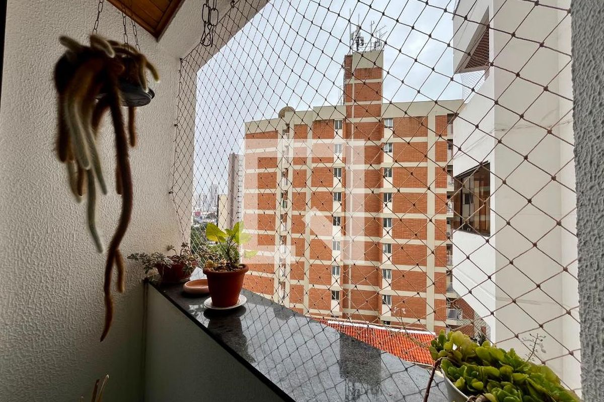 Apartamento à Venda - Cambuí, 3 Quartos,  100 m2 em , Campinas - sp | SoloBR