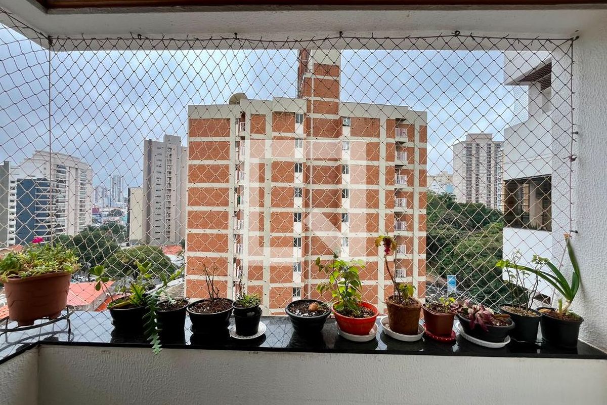Apartamento à Venda - Cambuí, 3 Quartos,  100 m2 em , Campinas - sp | SoloBR