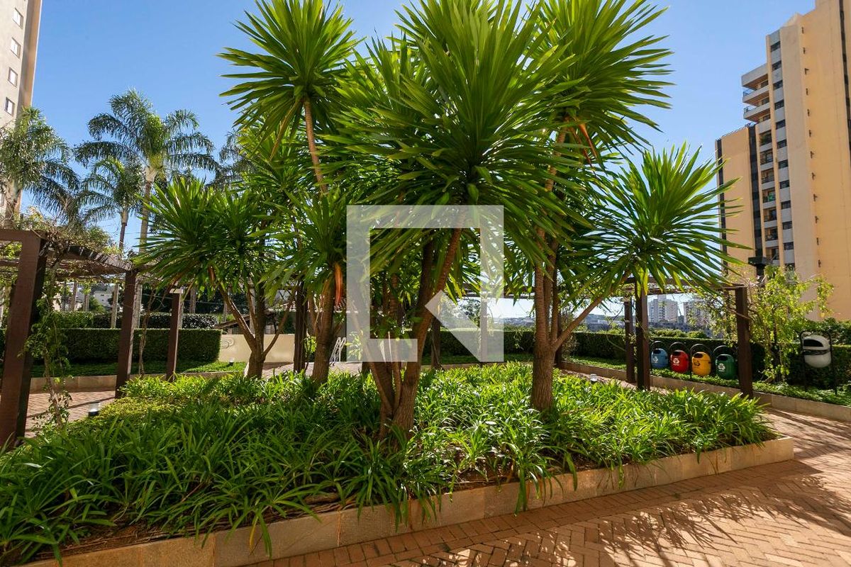 Apartamento à Venda - Mansões Santo Antônio, 3 Quartos,  89 m2 em , Campinas - sp | SoloBR