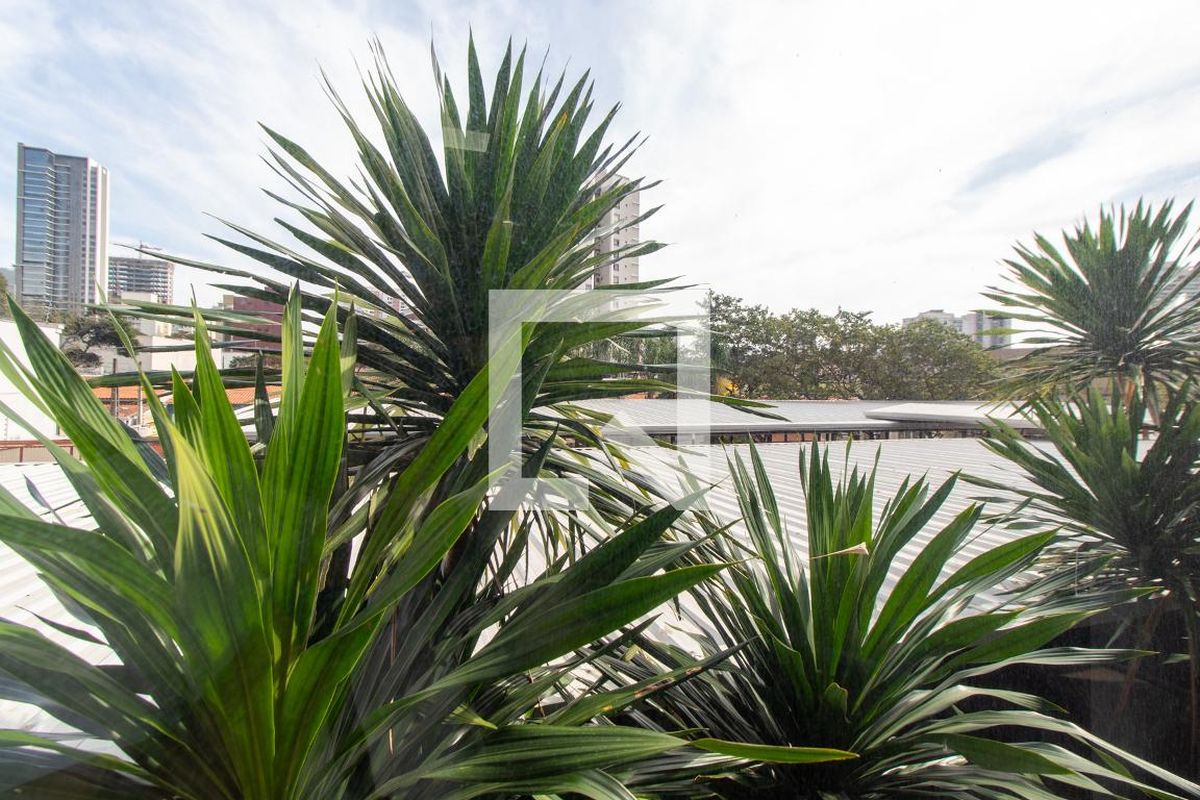 Apartamento à Venda - Cambuí, 2 Quartos,  70 m2 em , Campinas - sp | SoloBR