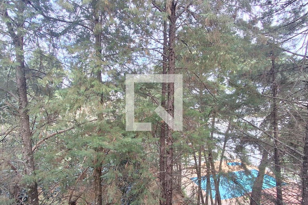 Apartamento à Venda - Jardim Flamboyant, 2 Quartos,  74 m2 em , Campinas - sp | SoloBR