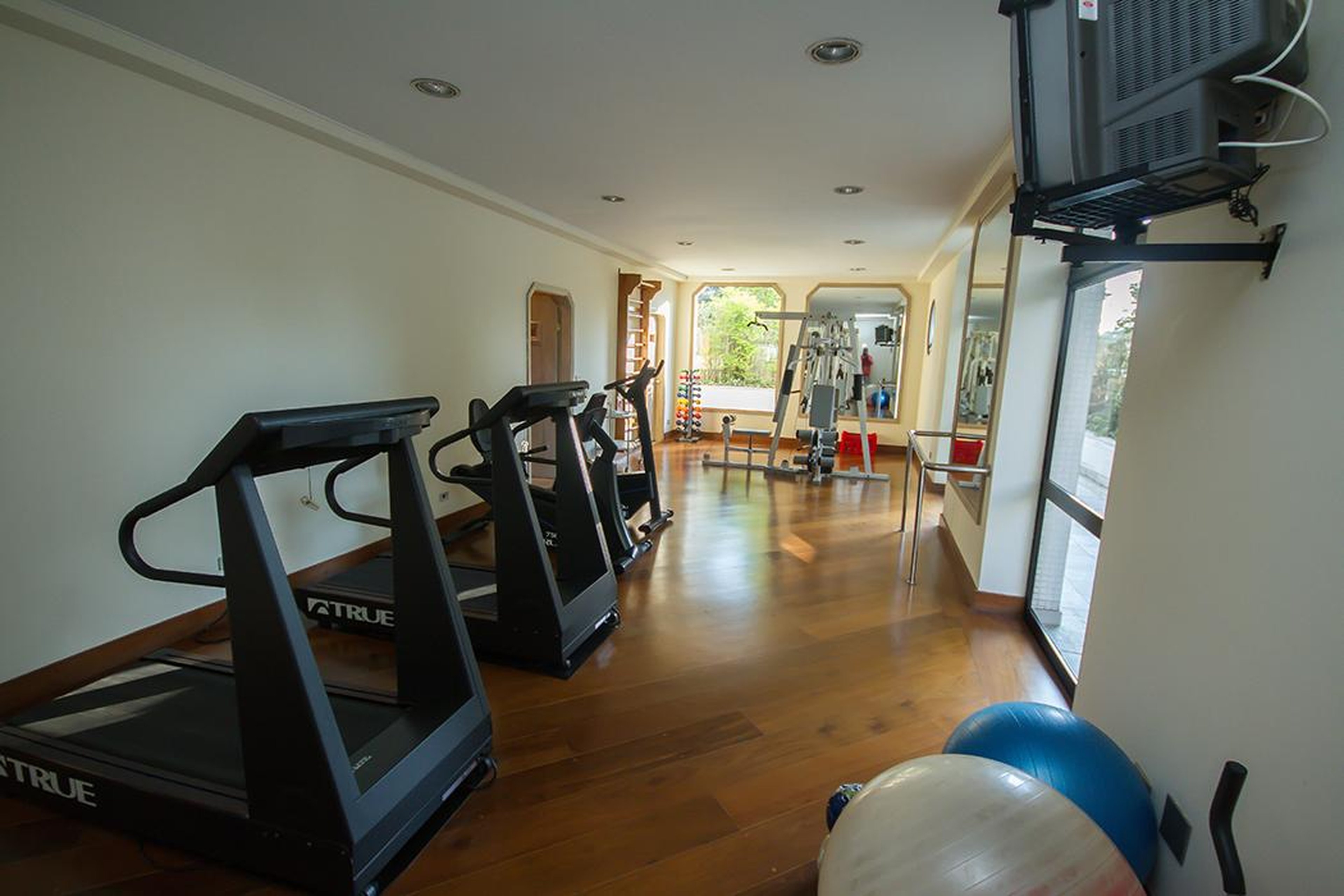 Academia - Vol D'oiseau