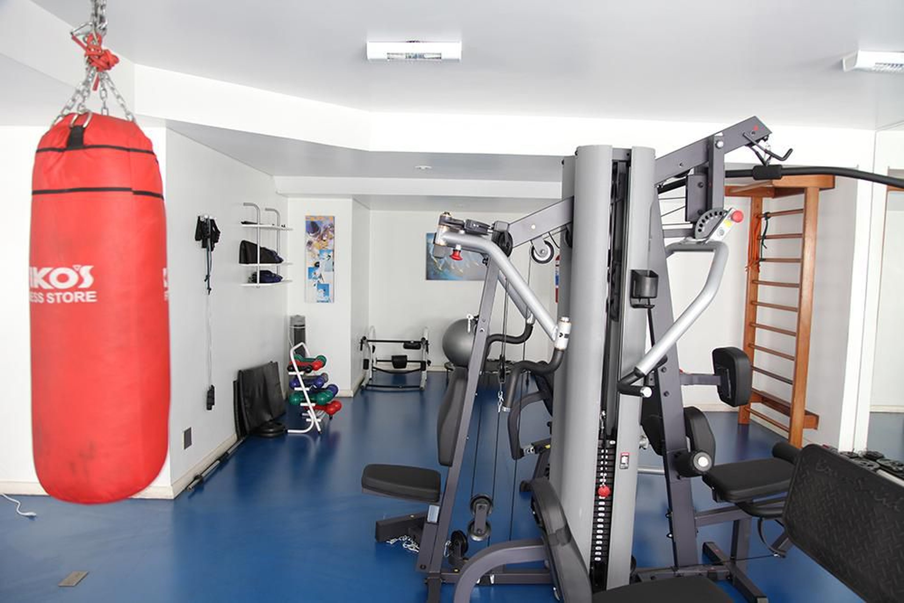 Academia - Pallas Athenas